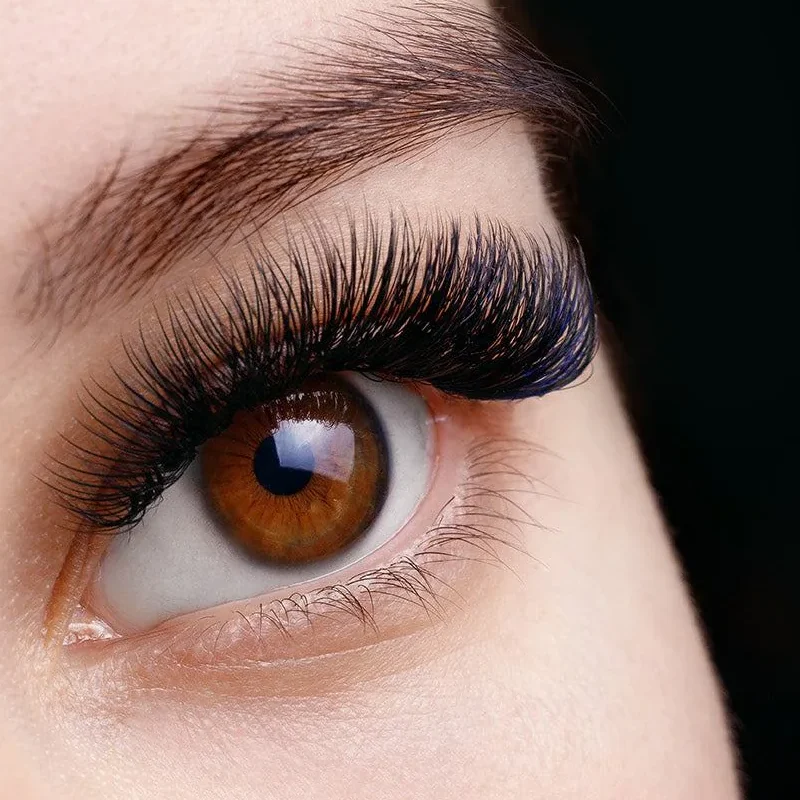 easiest eyelashes to apply