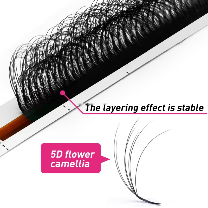 5d camellia lashe
