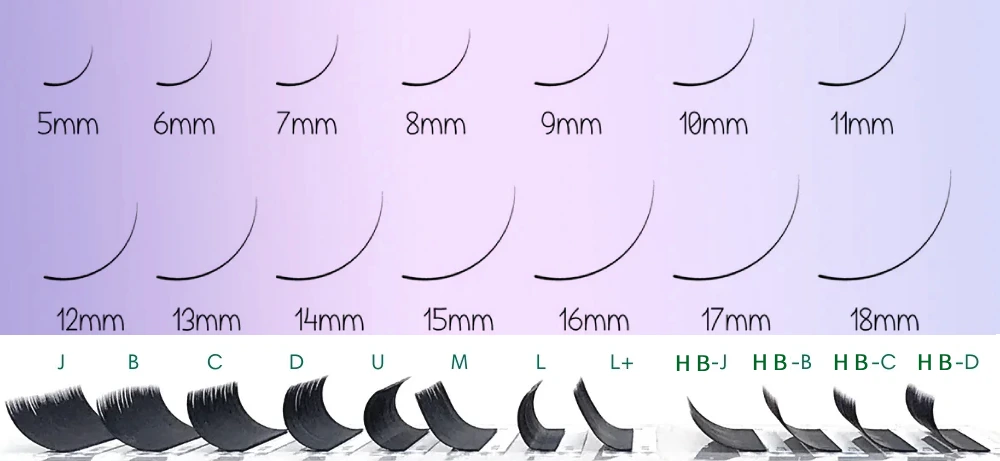 Eyelash Extension Lengths