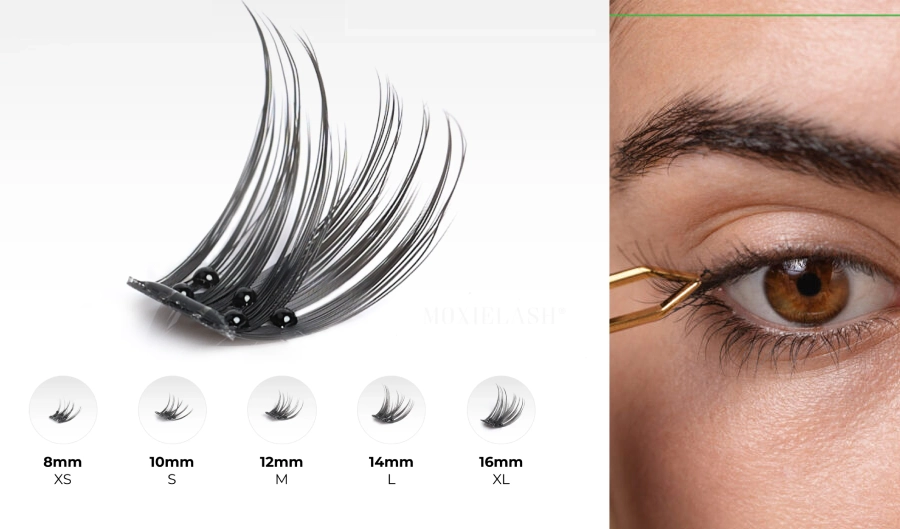 cluster lashes for beginners