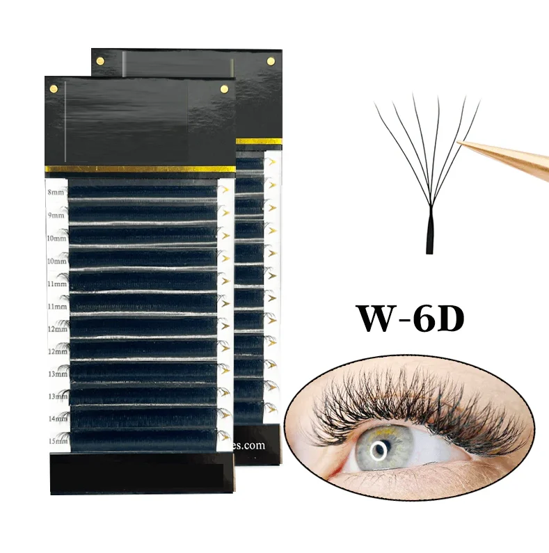 6D Lashes