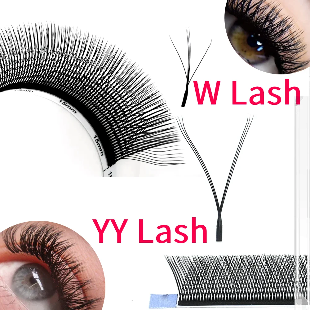 W Lash and YY Lash