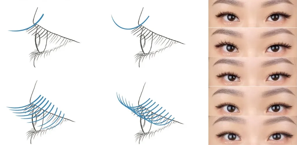 how to choose the right lash clusters for asian eyes