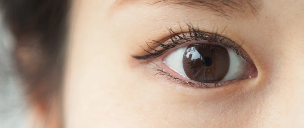 what makes asian eyes different