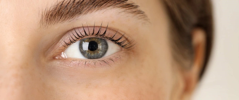 eyelash product quality and safety