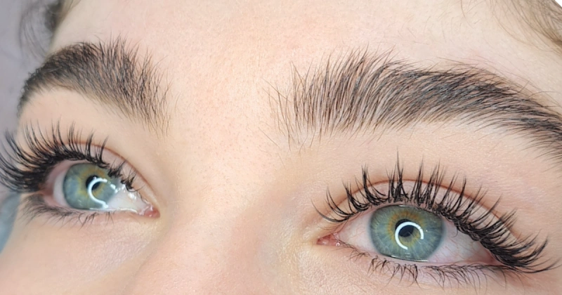wet look lashes extension