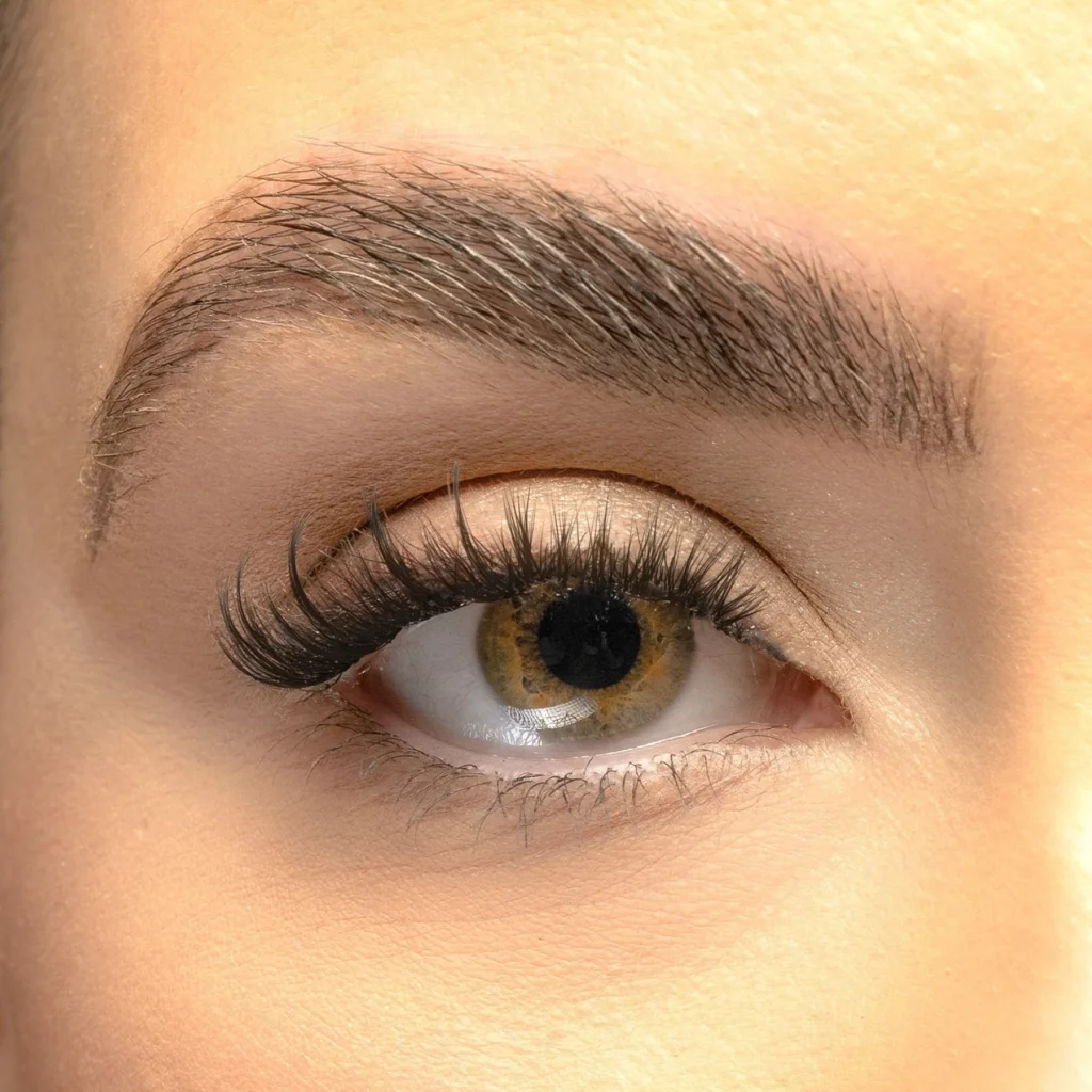 cat eye lash clusters