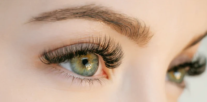 cartel lash