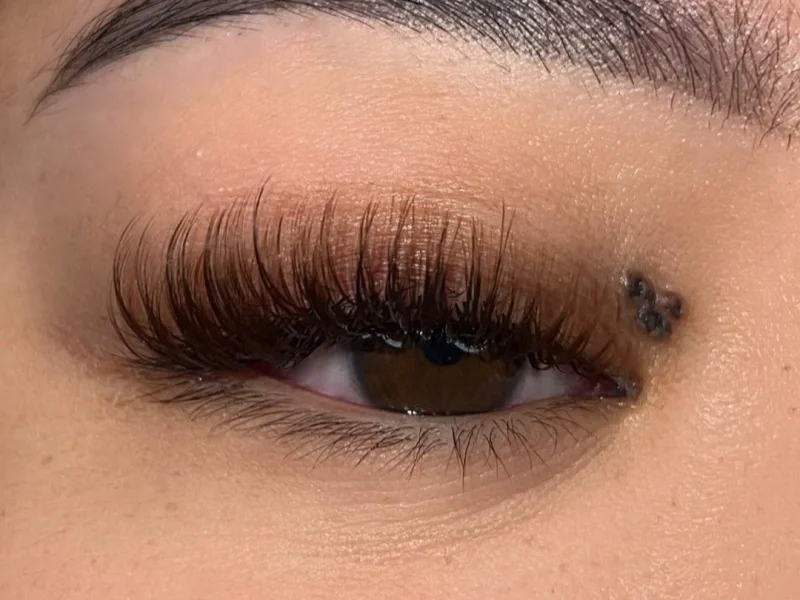 Brown Wispy Lash Extensions